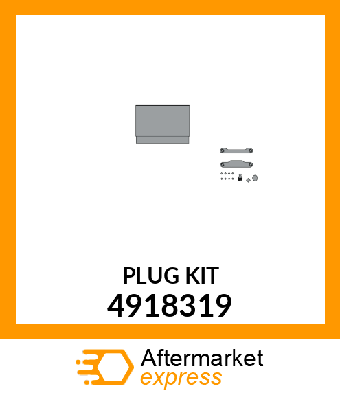 PLUG_KIT 4918319