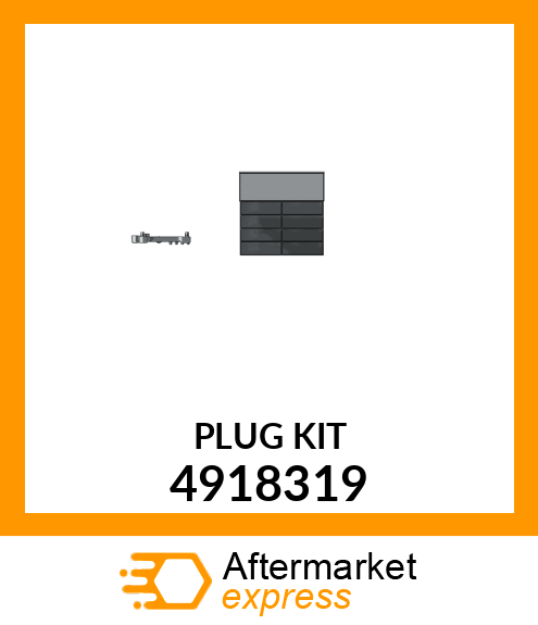 PLUG_KIT 4918319