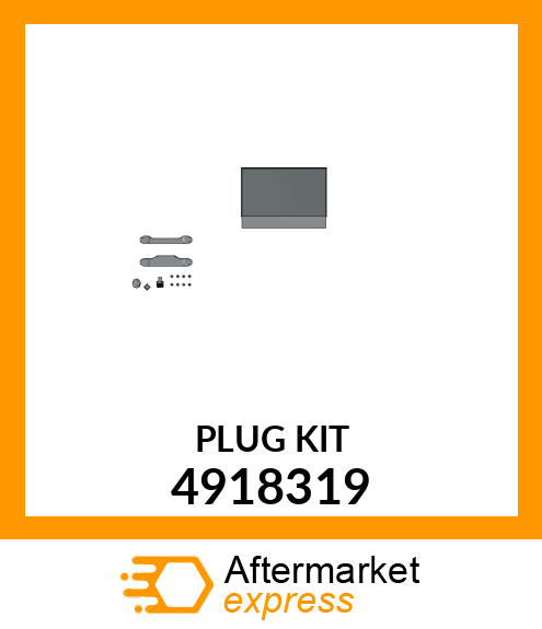 PLUG_KIT 4918319