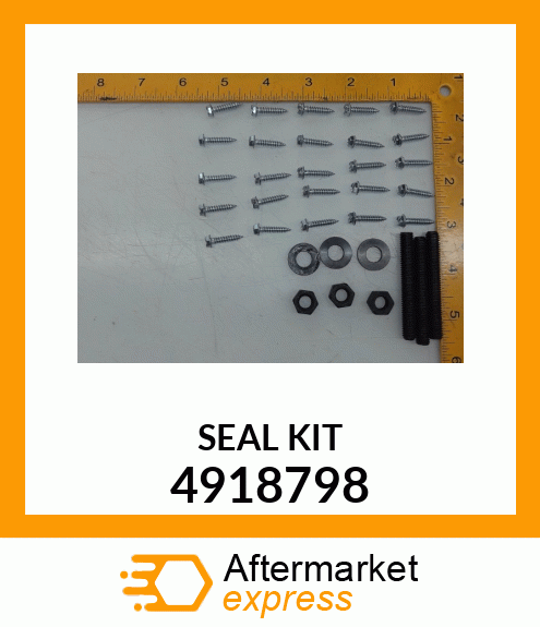 SEAL_KIT 4918798