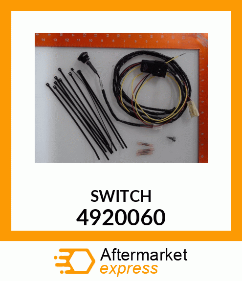 SWITCH 4920060