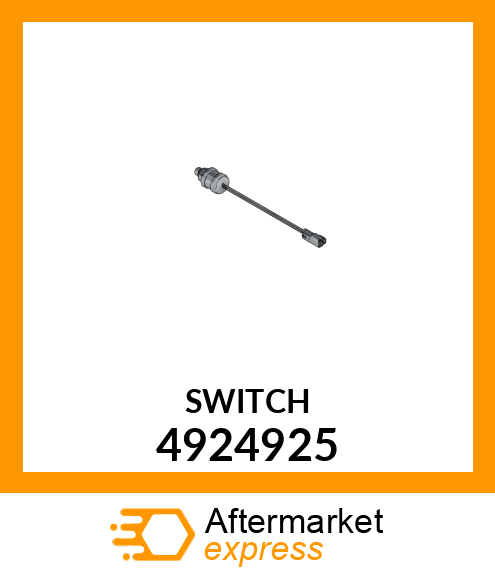 SWITCH 4924925