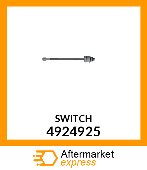 SWITCH 4924925