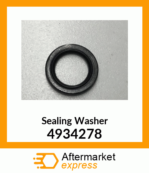 WASHER 4934278