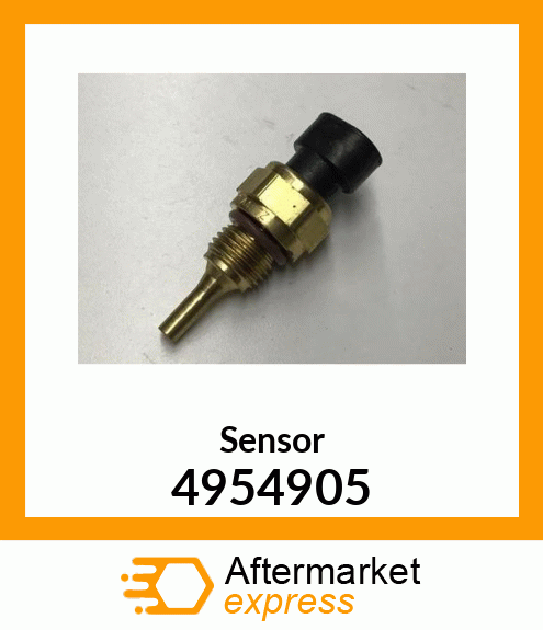 Sensor 4954905