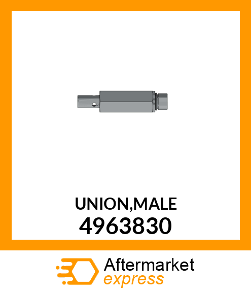 UNION,MALE 4963830