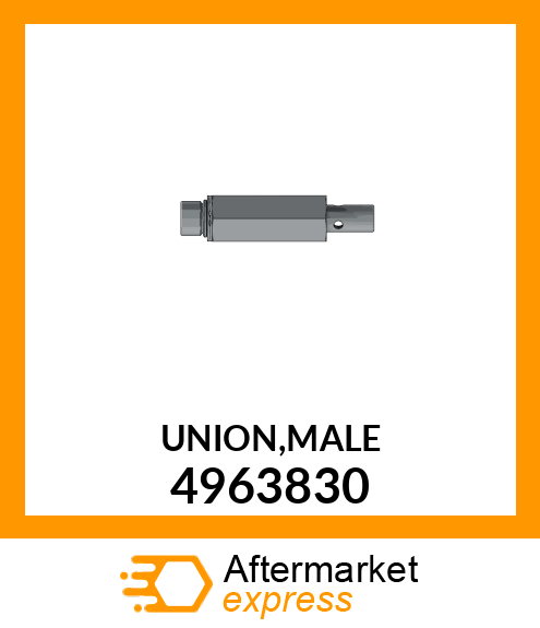 UNION,MALE 4963830