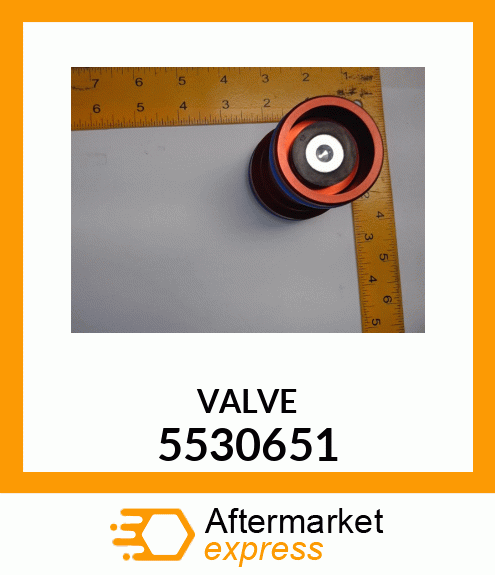 VALVE 5530651