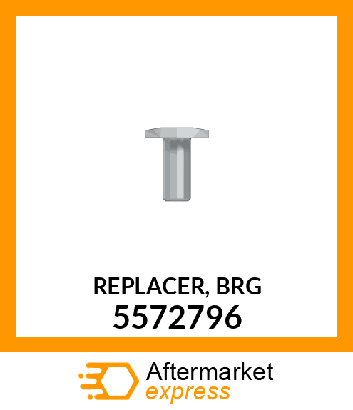 REPLACER, BRG 5572796