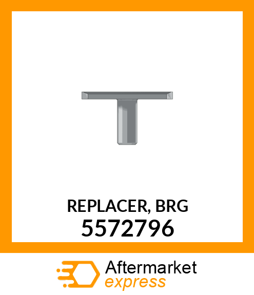 REPLACER, BRG 5572796