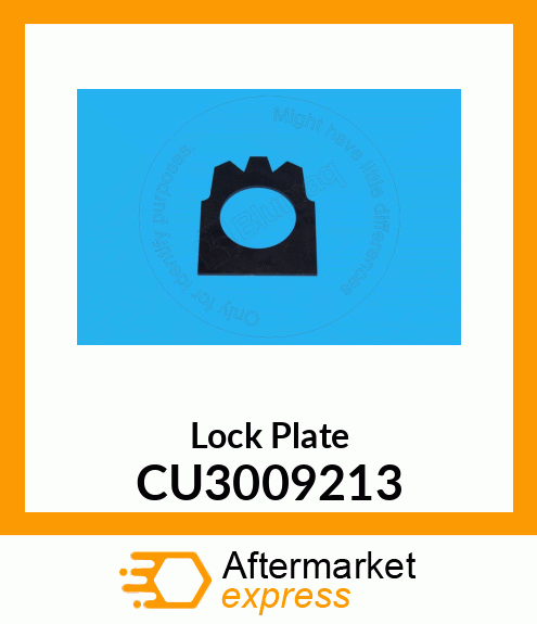 Lock Plate CU3009213