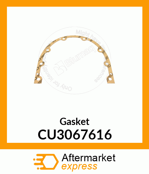 Gasket CU3067616