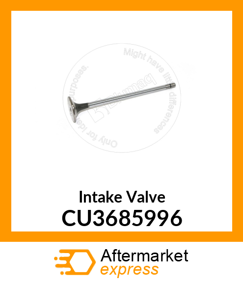 Intake Valve CU3685996