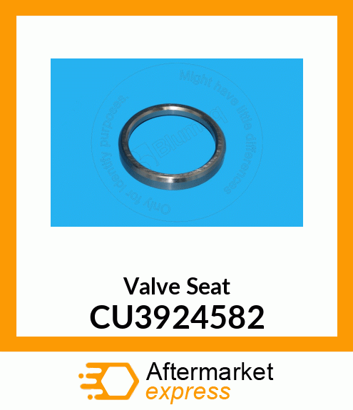 Valve Seat CU3924582