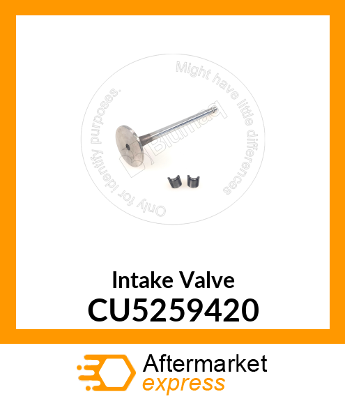 Intake Valve CU5259420