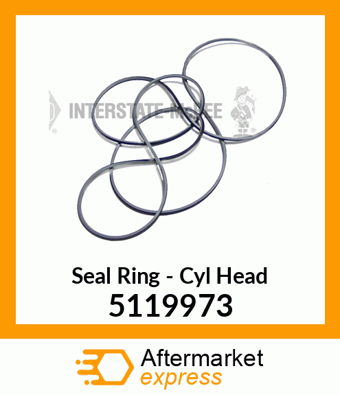 New Aftermarket SEAL RING, CYL HEAD 5119973