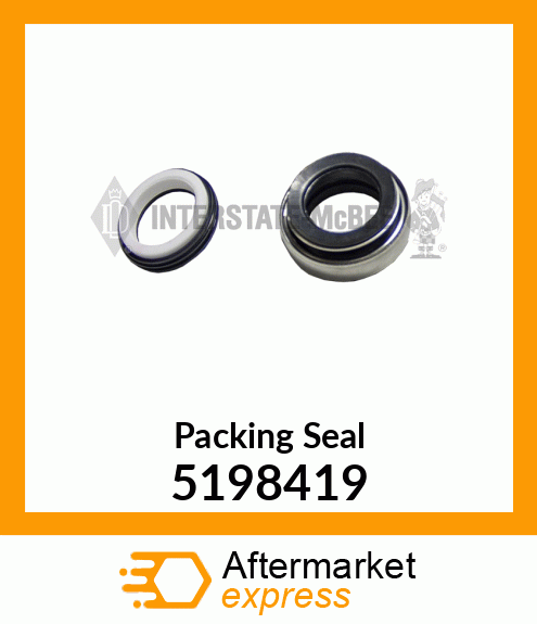 Packing Seal 5198419