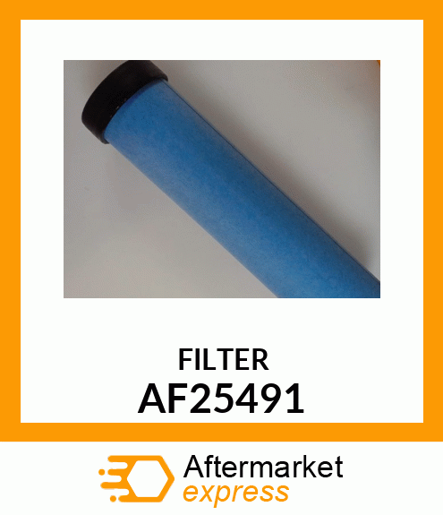 FILTER AF25491