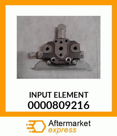 INPUT ELEMENT 0000809216