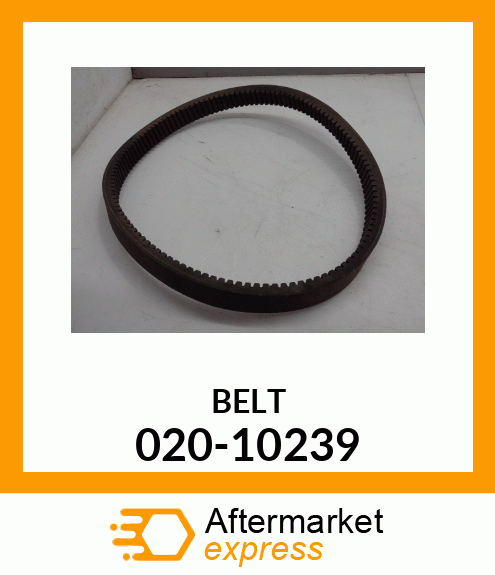 BELT 020-10239