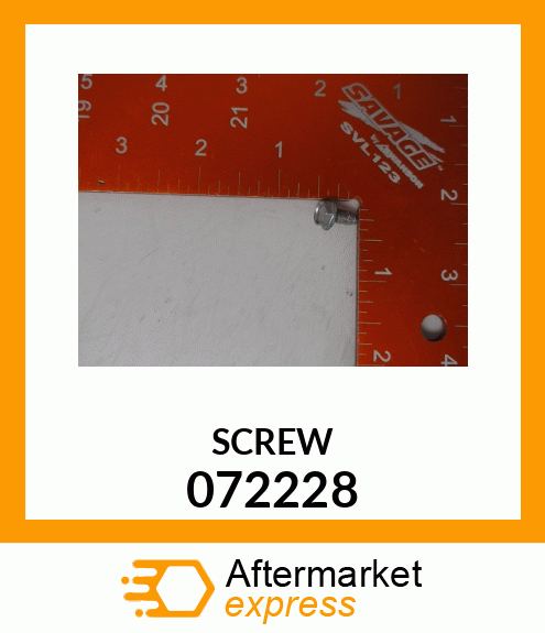 SCREW 072228