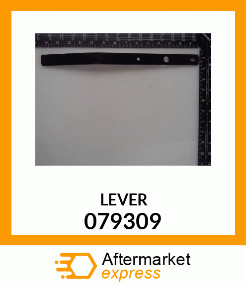 LEVER 079309