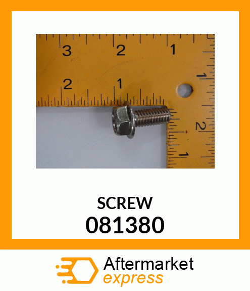 SCREW 081380