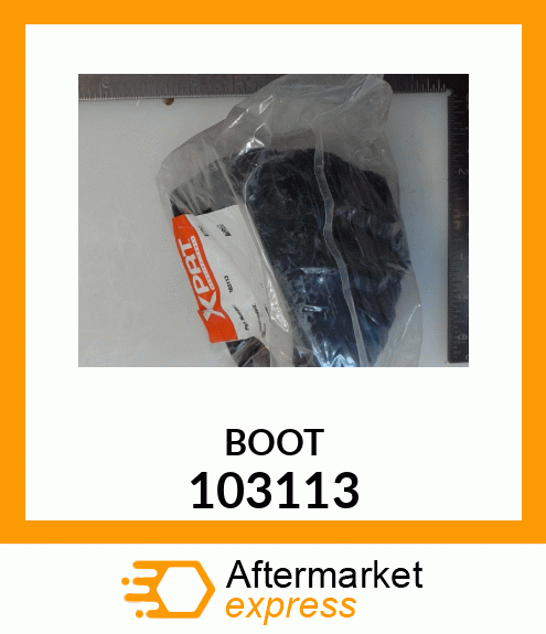 BOOT 103113