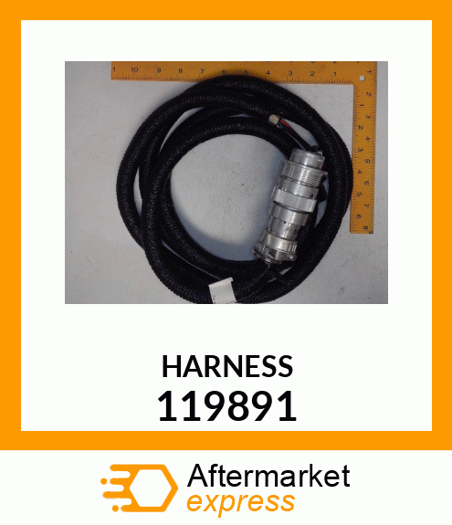 HARNESS 119891