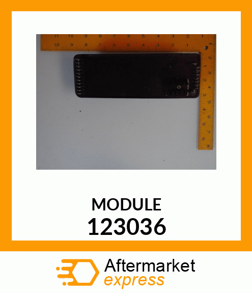 MODULE 123036