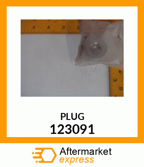 PLUG 123091