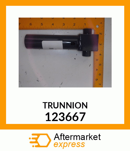 TRUNNION 123667