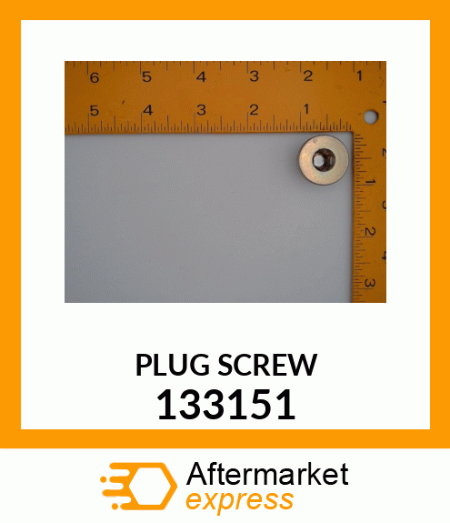 PLUG_SCREW 133151