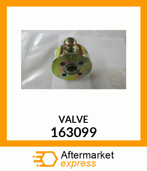 VALVE 163099