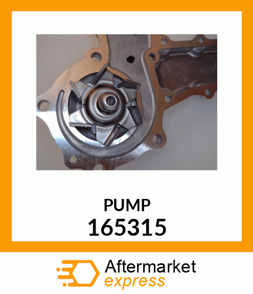 PUMP 165315