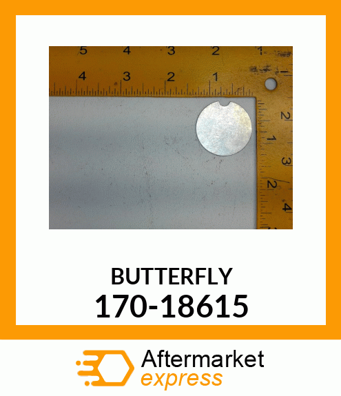 BUTTERFLY 170-18615