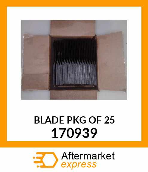 BLADE_PKG_OF_25 170939