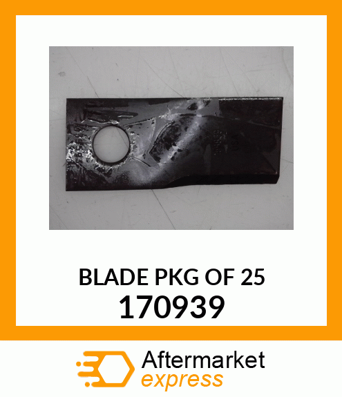 BLADE_PKG_OF_25 170939