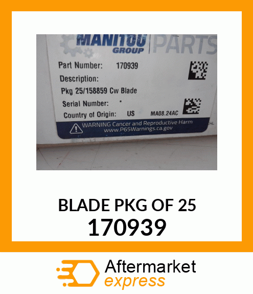 BLADE_PKG_OF_25 170939