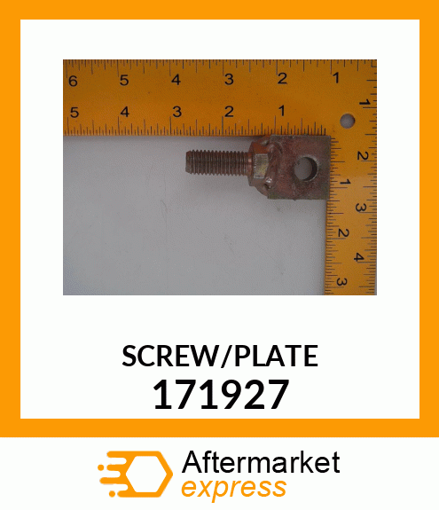 SCREW/PLATE 171927