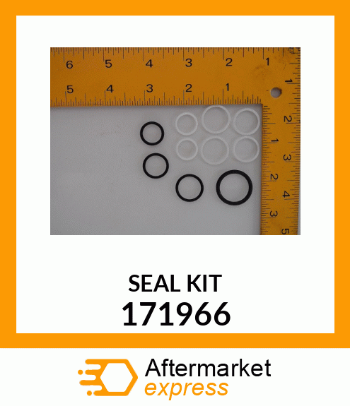 SEAL_KIT_10PC 171966