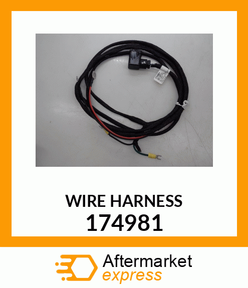 WIRE_HARNESS 174981