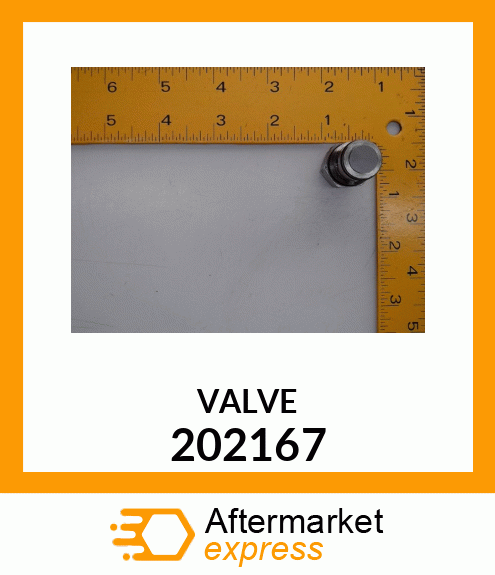 VALVE 202167