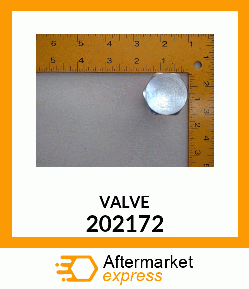 VALVE 202172