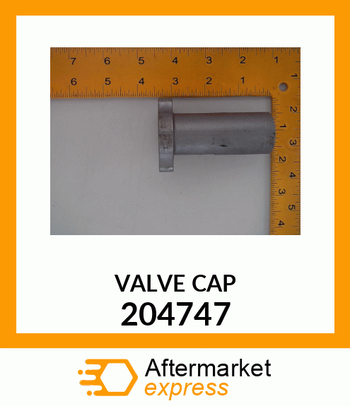 VALVE CAP 204747