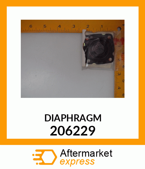 DIAPHRAGM 206229