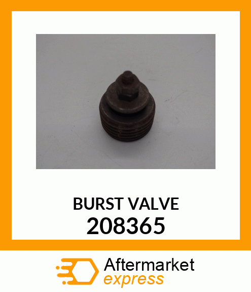 BURST_VALVE 208365