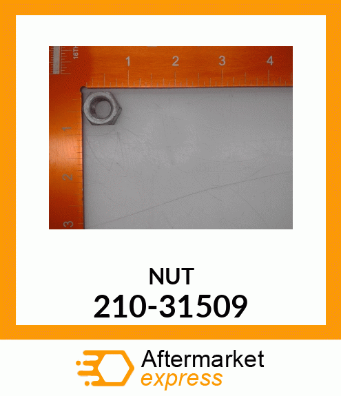 NUT 210-31509