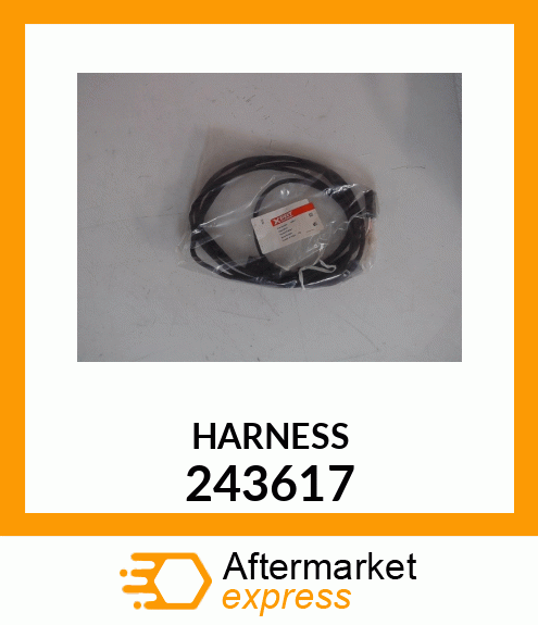 HARNESS 243617