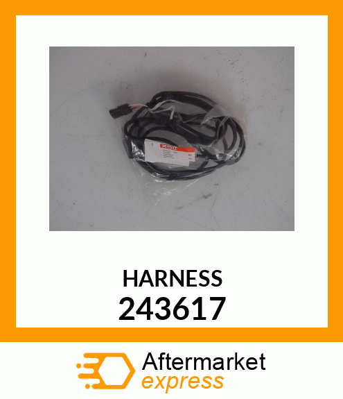 HARNESS 243617